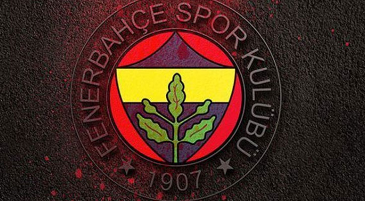 Fenerbah�e y�netimi Emenike ve Van der Wiel'i affetti