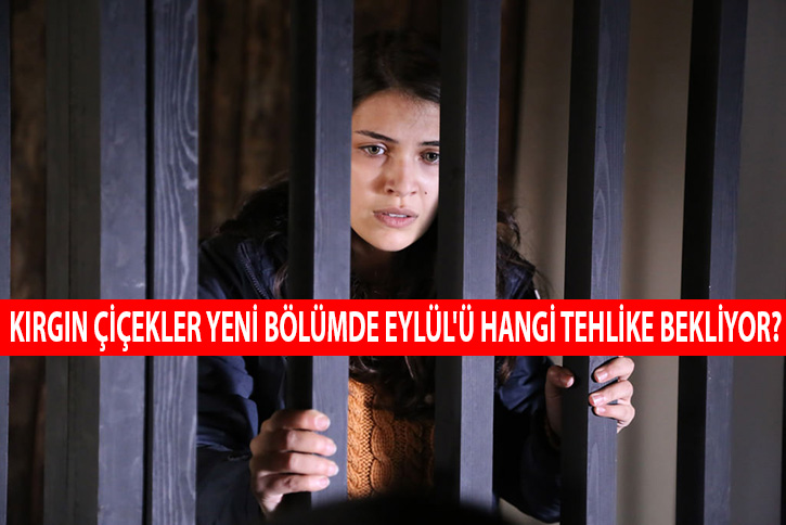 Krgn iekler 71. blm fragman