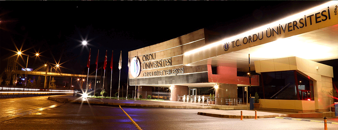 ODܒn�n b�y�k ba�ar�s�  