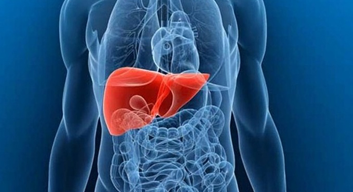 Karaci�er naklinde T�rkiye ilk s�rada