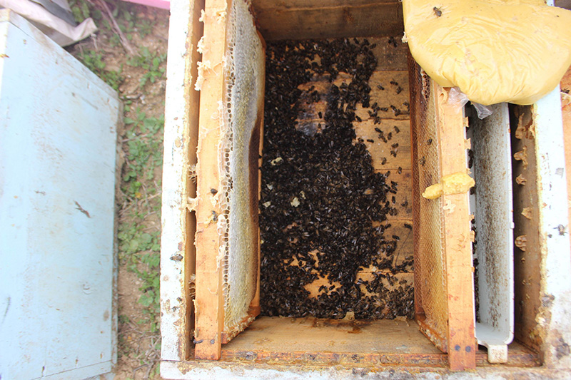 B�yle kin g�r�lmedi