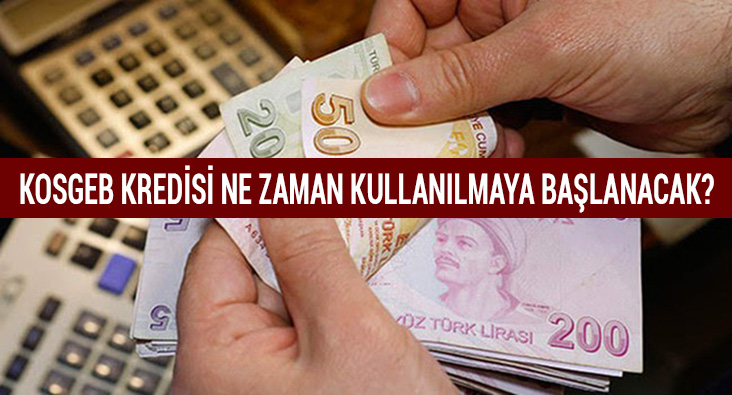 KOSGEB 50 bin lira faizsiz kredi demesi ne zaman yaplacak?