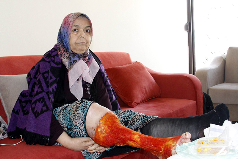 Sivrisinek �s�r��� hayat�n� karatt�