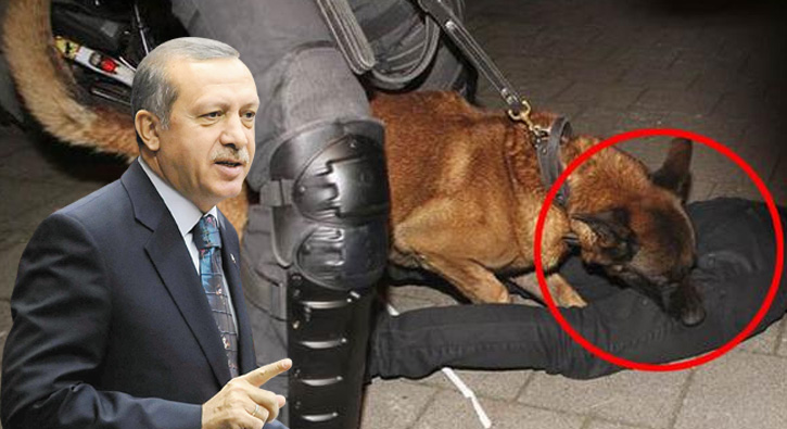 Cumhurbakan Erdoan: Ne kadar atlar, itleri varsa oraya topladlar