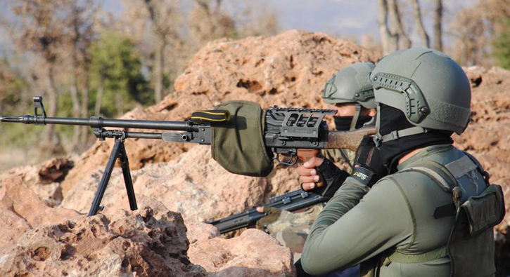 Diyarbak�r Lice'de ter�r operasyonu