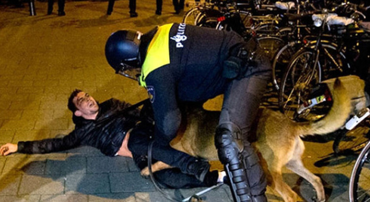 Hollanda polisinin kpeklerle saldrd Hseyin Kurt stanbul'a getirildi