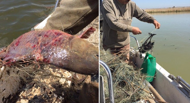 Ku� Cenneti'nde �rk�ten tablo