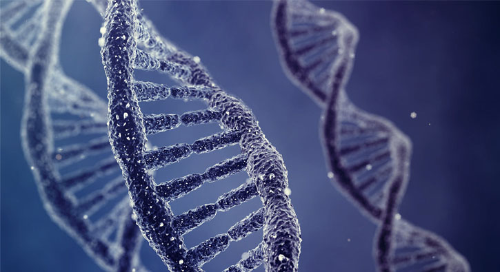 DNA onarmnn kritik bileeni bulundu 