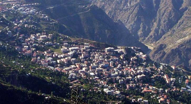 Artvin de do�algaza kavu�uyor