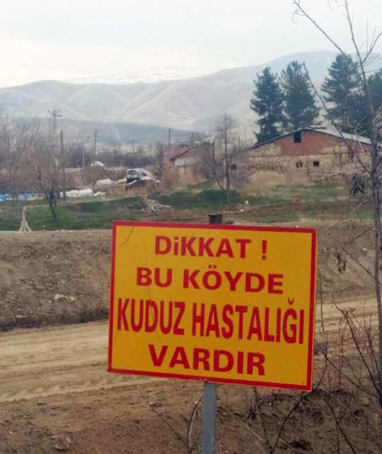 Elaz��da bir k�yde kuduz karantinas�