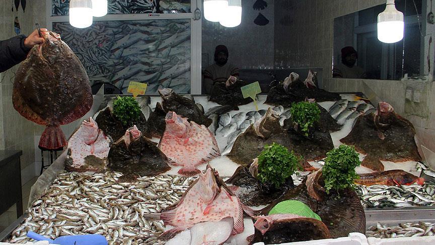Karadeniz'de kalkan bal bereketi