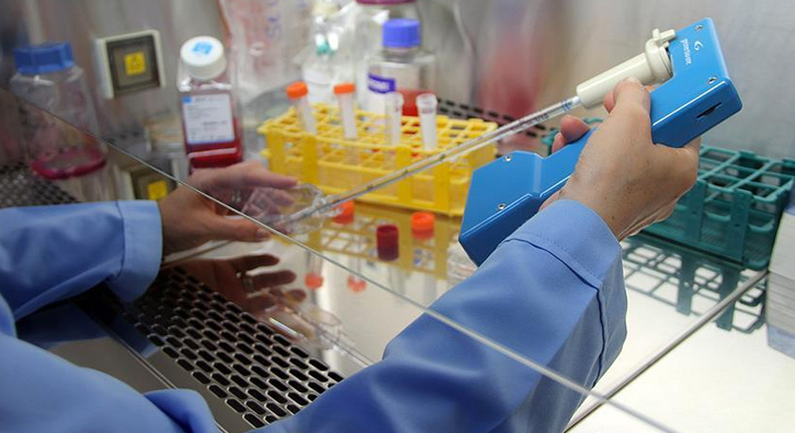 Meme ve yumurtal�k kanserinde gen fakt�r�