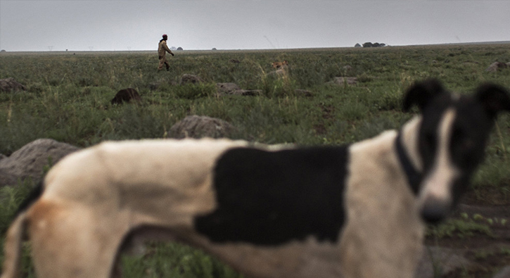 K�pek intihar sald�r�s�n� �nledi