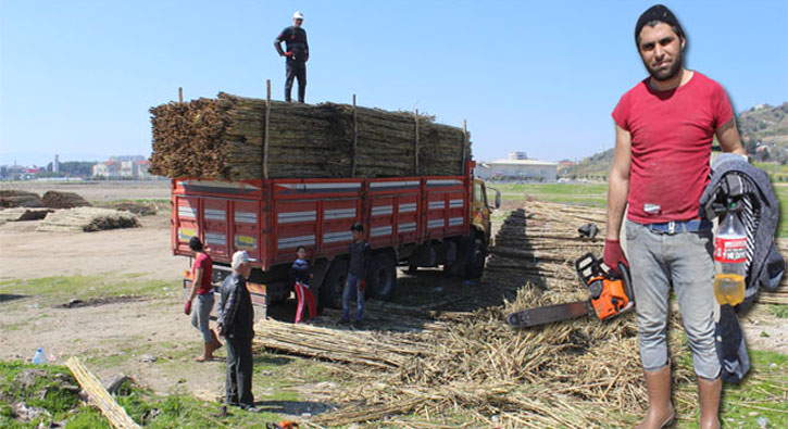 Suriyeli ��retmen in�aat i��isi oldu