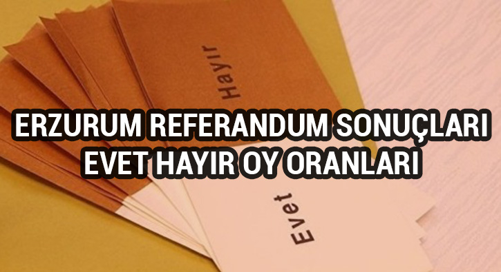 Erzurum referandum sonular