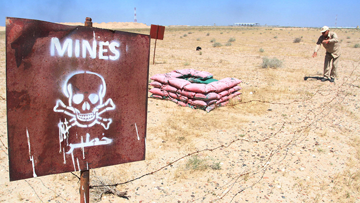 Kara may�nlar�n� bulmak i�in ���ldayan bakteriler kullan�lacak