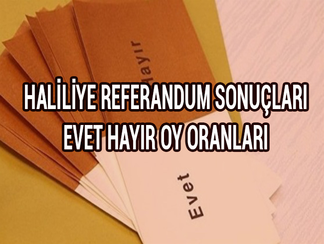 Haliliye referandum sonular