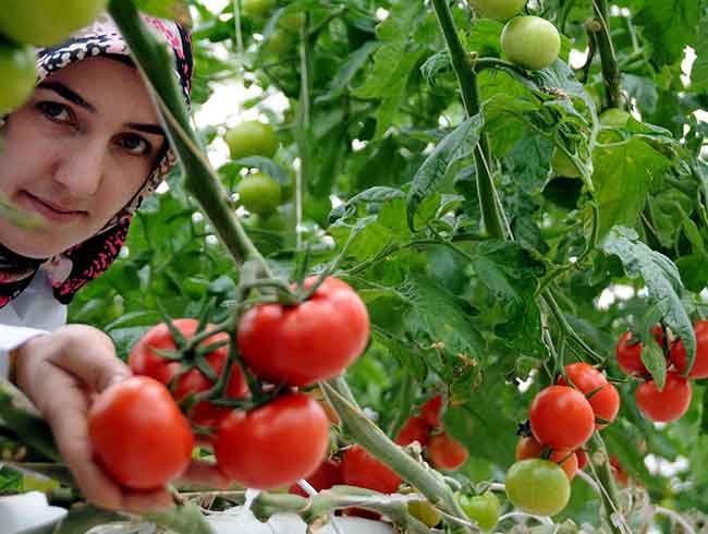 Rusya ile nihai pazarl�k may�sta