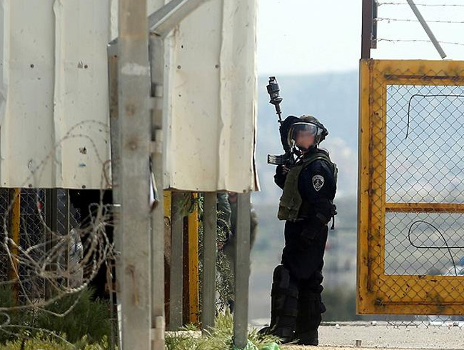 srail glerinden Filistinli tutuklulara polis kpekleriyle taciz
