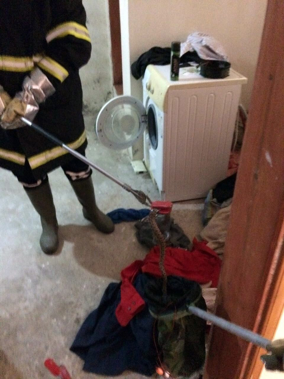 �ama��r sepetinden y�lan ��kt�