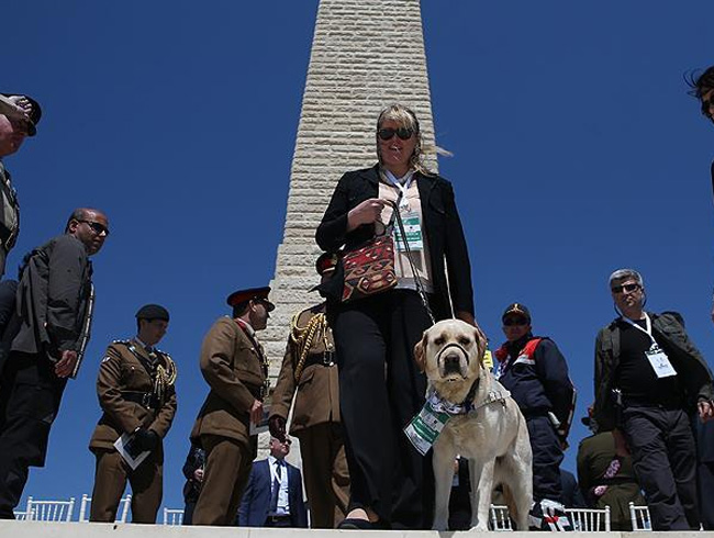 �anakkale t�renlerinin diplomatik misafiri 'Star'