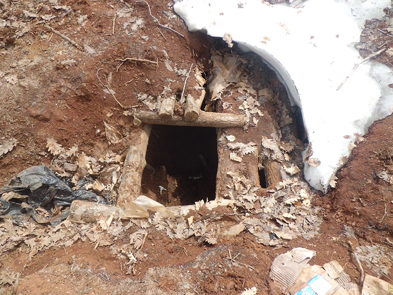 Bing�l'de ter�r operasyonu       