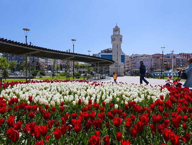 2 milyon lale Sincan�a g�zellik katt�