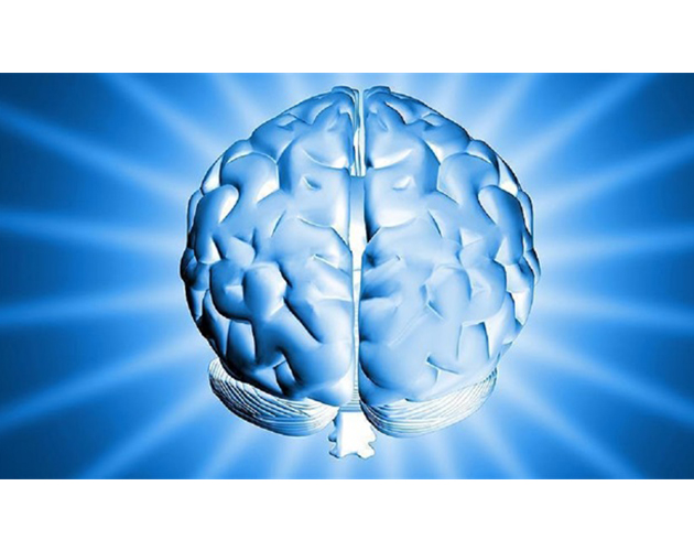 Beyin ufac�k bir b�lgeye bel ba�l�yor