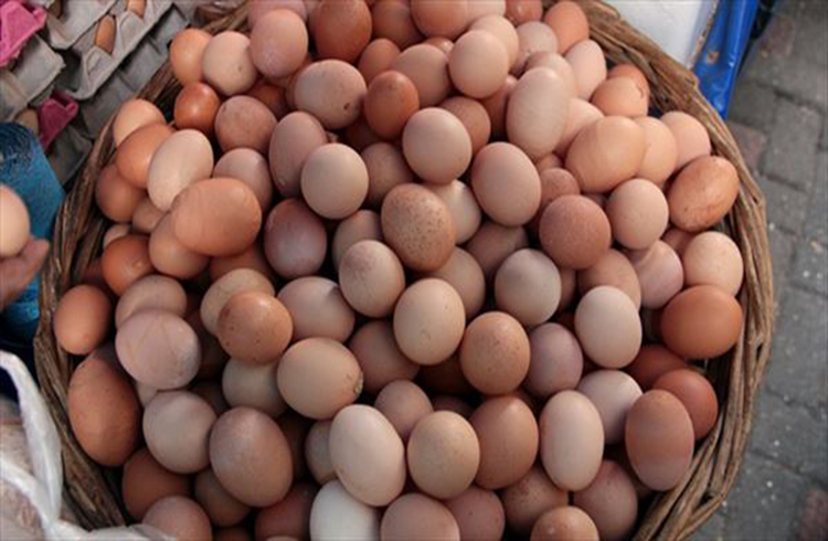 Bandrma'da saniyede 29 yumurta retiliyor