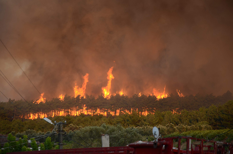 Yaz geldi orman yang�nlar� ba�lad�  