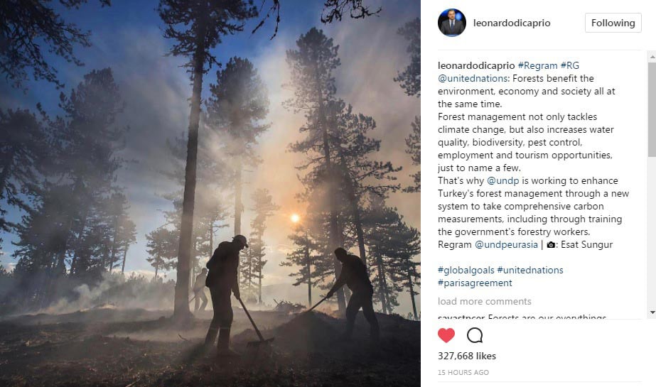 Leonardo DiCaprio'dan Trkiye paylam