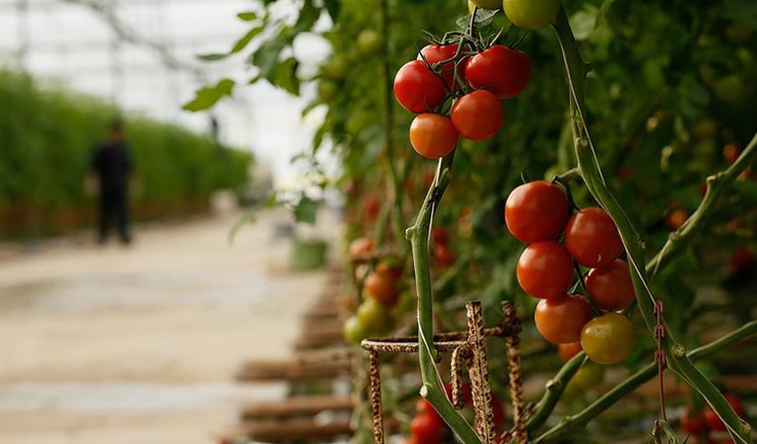 Katar krizi �rd�n'� vurdu 