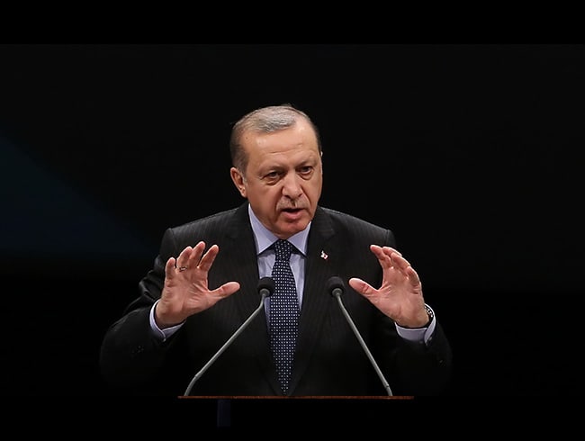 Cumhurbakan Erdoan: Katarl kardelerimizi yalnz brakmayacaz