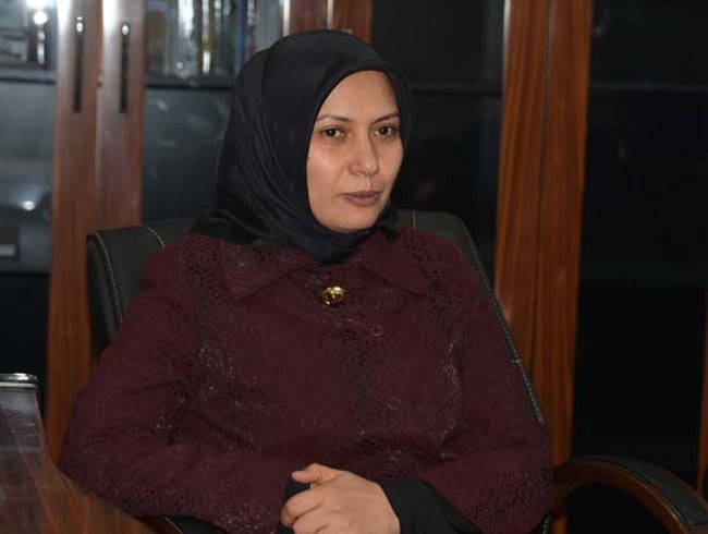 Komisyon Ba�kan� �elik: Evlilik programlar�na y�nelik �ikayetler kar��s�nda yay�mlanan KHK'da maksat has�l olmu�tur