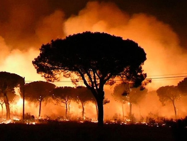 spanya'daki orman yangn nedeniyle 2 bin kii tahliye edildi