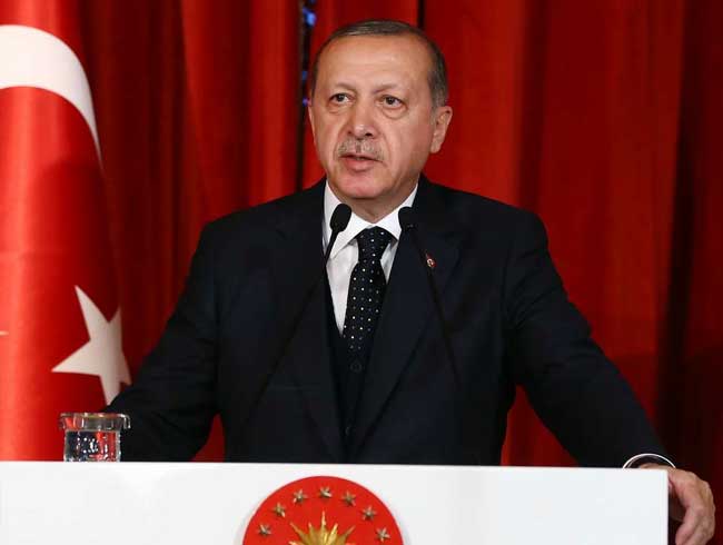 Cumhurbakan Erdoan altn madalya kazanan mit Can Gre'i kutlad