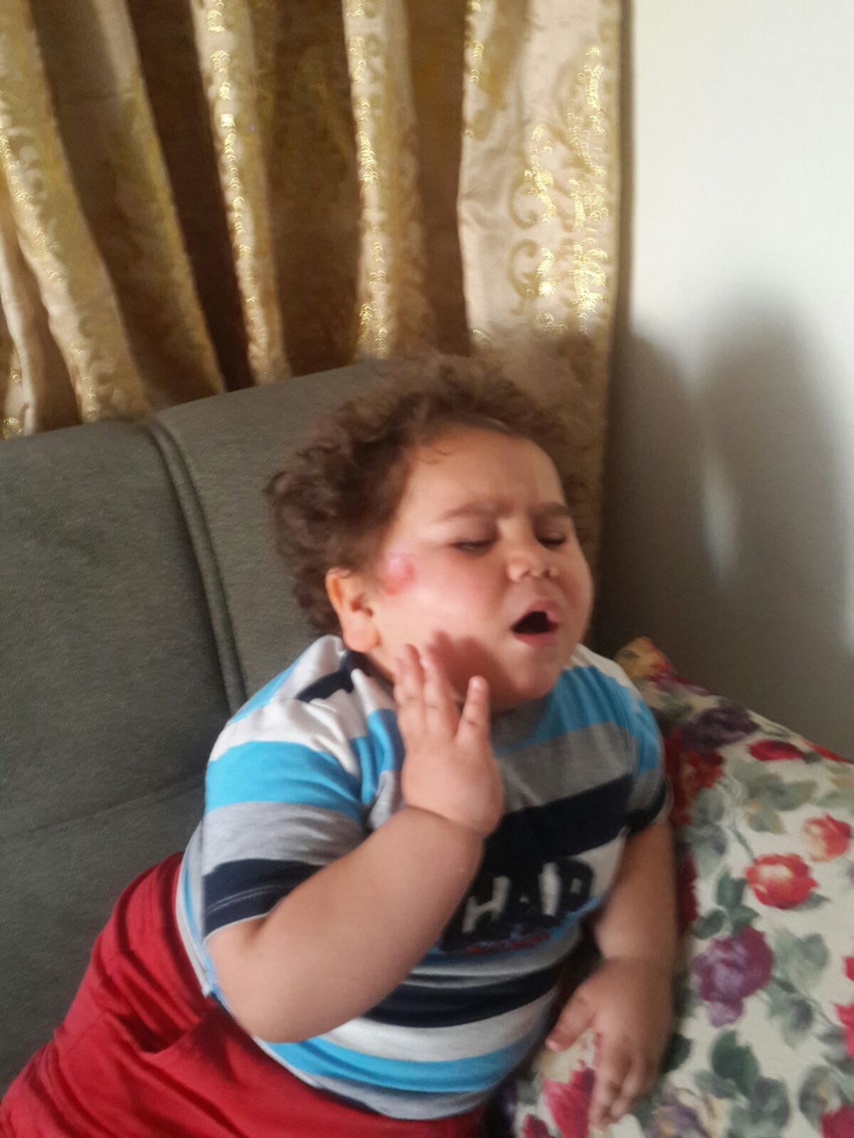 Erzurumlu '�itos Efe' trafik kazas�nda yaraland�