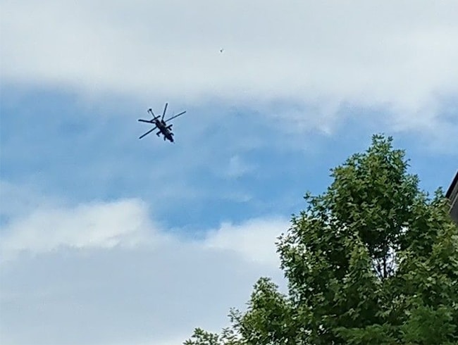 Tunceli'de 1 ter�rist �ld�r�ld�