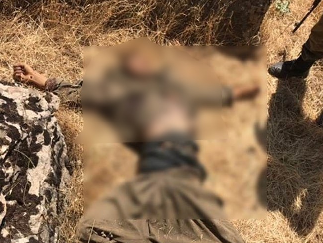Hakkari'de 2 PKK'l terrist etkisiz hale getirildi