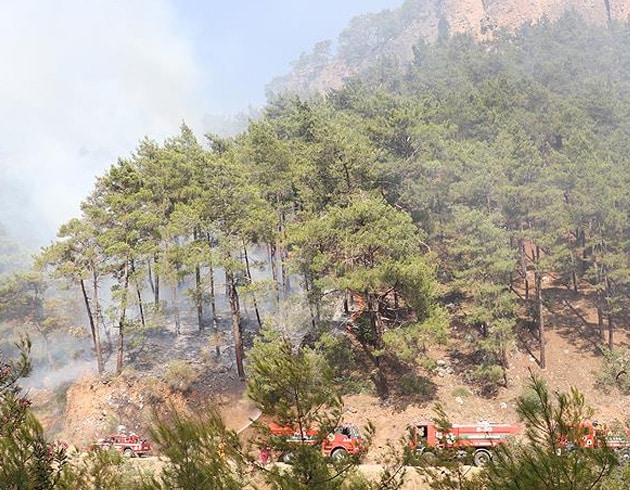 Antalya'da alev alan otobsteki yangn ormana srad