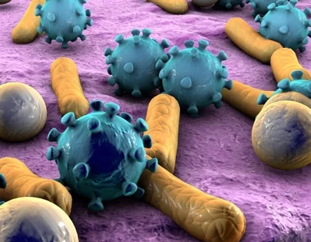 Bakteri DNA'sna hareketli grnt kaydedildi
