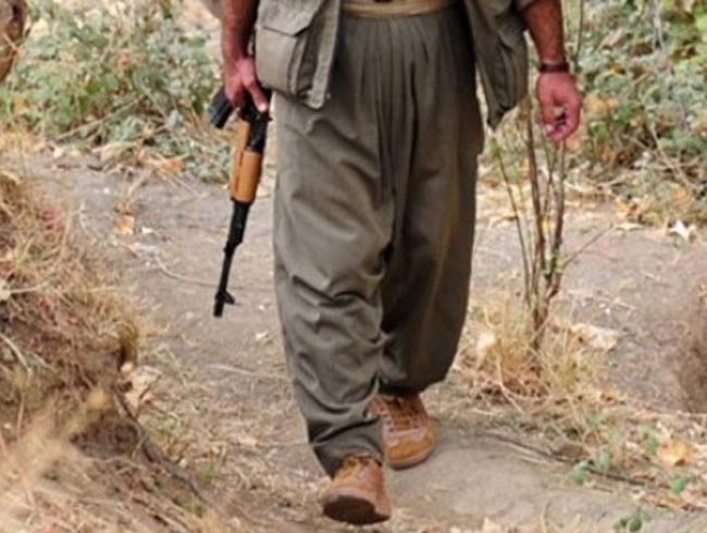 Bingl'de 1 PKK'l terrist yakaland