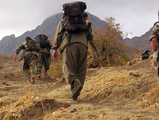 Bing�l'de bir ter�rist teslim oldu