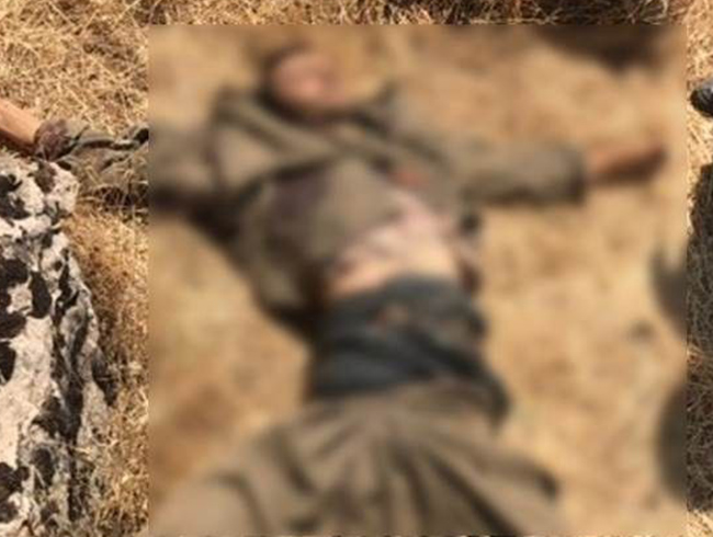 TSK: Terr operasyonlarnda 2 PKK'l terrist etkisiz hale getirildi