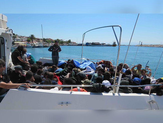 anakkale'de denizde 60 kaak yakaland