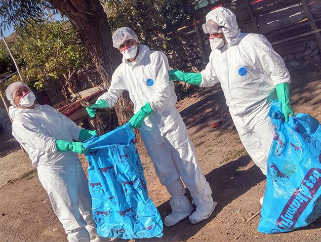 Sivas'taki ku gribi phesi, 10 kilometrelik alanda gzetim blgesi oluturuldu