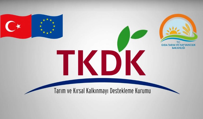 TKDK snav 10 Eyllde! 