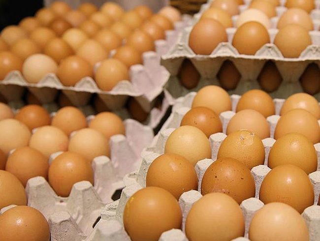 Hollanda hkmeti 'ilal yumurta' iddialarn kabul etti