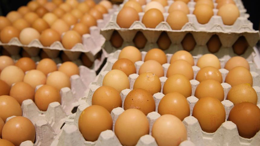 Zehirli yumurta krizi spanya'ya srad