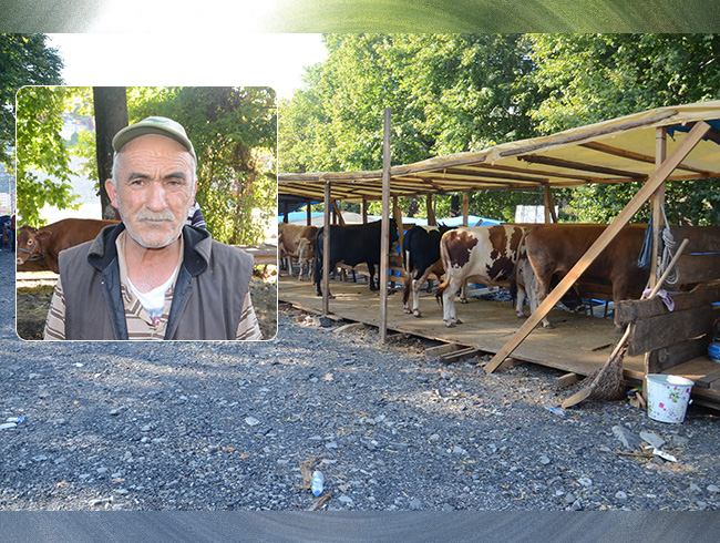 Zonguldakta sahibi uyuyunca 10 bin liralk kurbanl aldlar